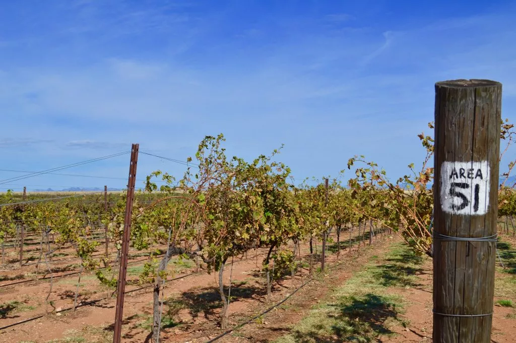 Lightning Ridge Cellars in Sonoita, Arizona