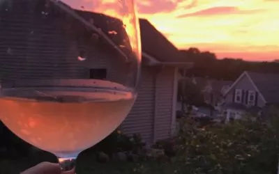 Summer in a Bottle: Rosé Wine