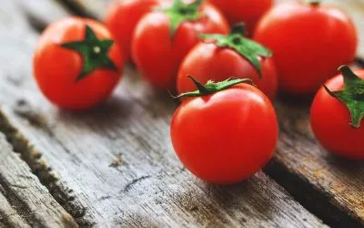 Summertime is Tomato Time