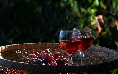 All About Alabama Wine