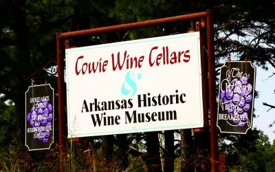 Amazing Arkansas Wine