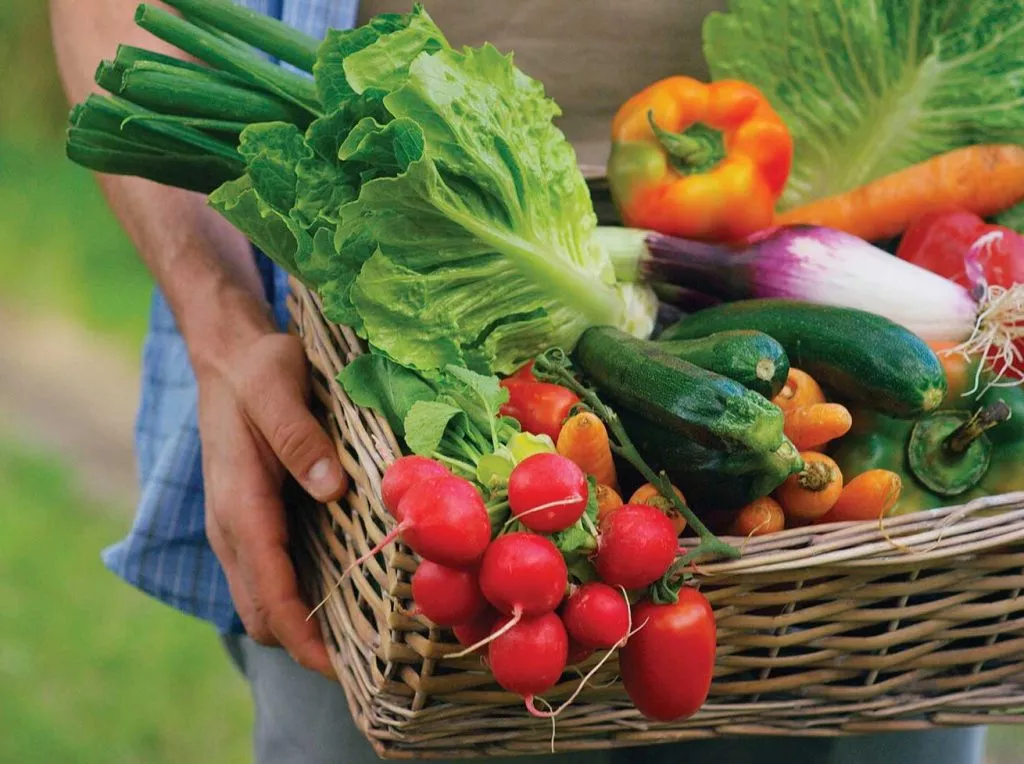Portrait of a happy young farmer holding fresh vegetables in a basket. On a background of nature The concept of biological, bio products, bio ecology, grown by own hands, vegetarians, salads healthy