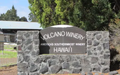 Hula Over to Wine from Hawaii