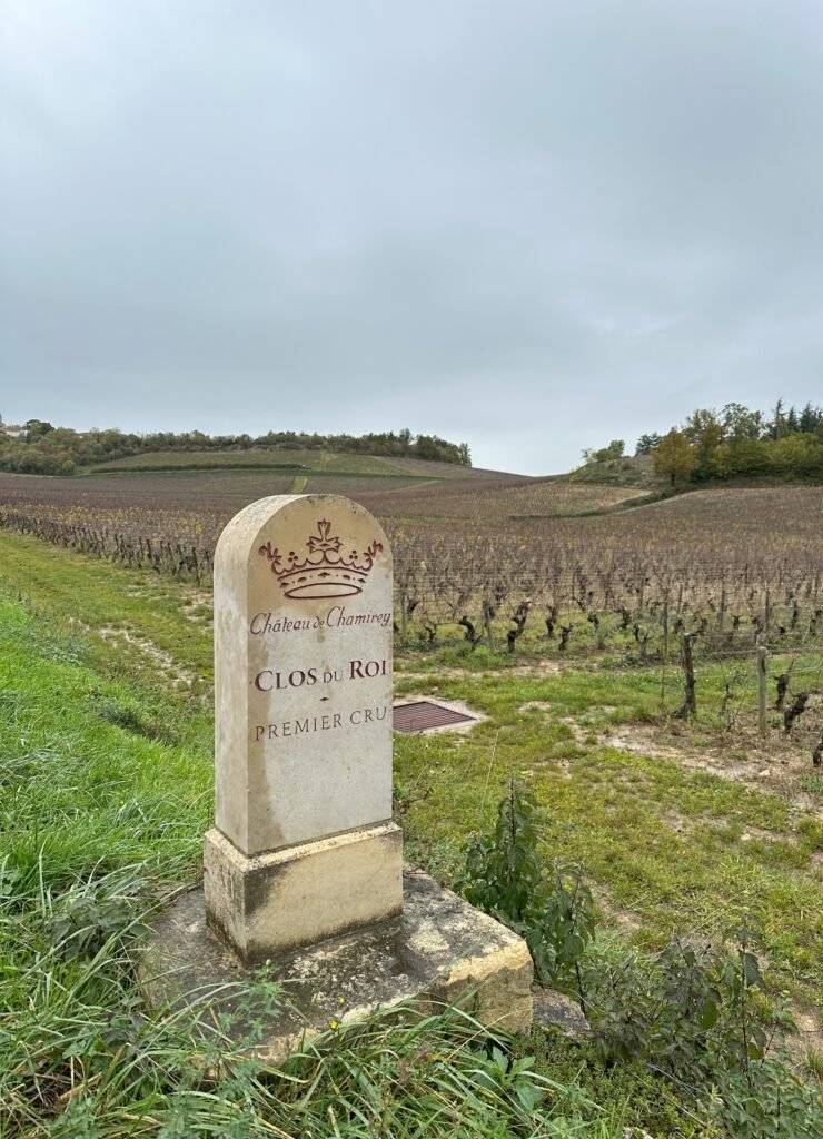 Chateau Chambre Vineyard in Mercurey