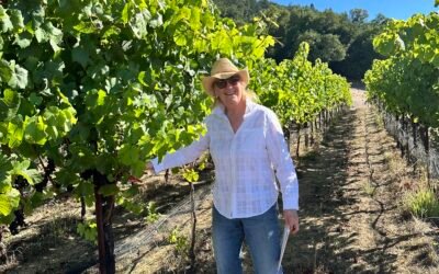 Amongst the Vines at Panther Ridge Vineyard