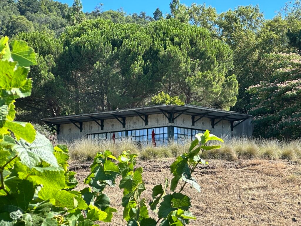 Susan’s accommodations above the vineyard