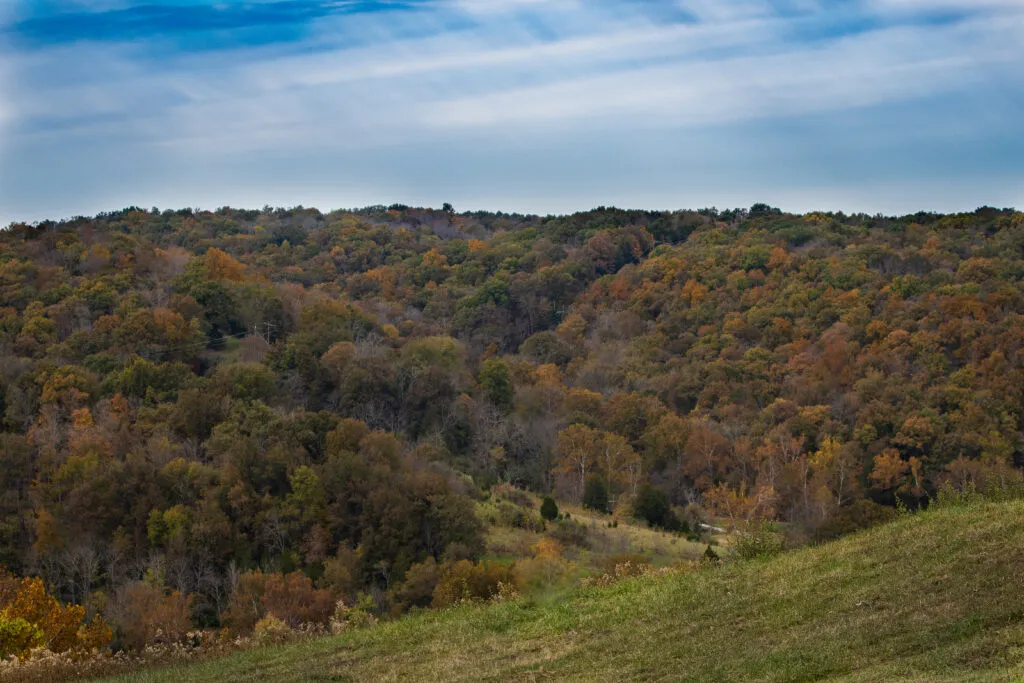 Indiana Country Side