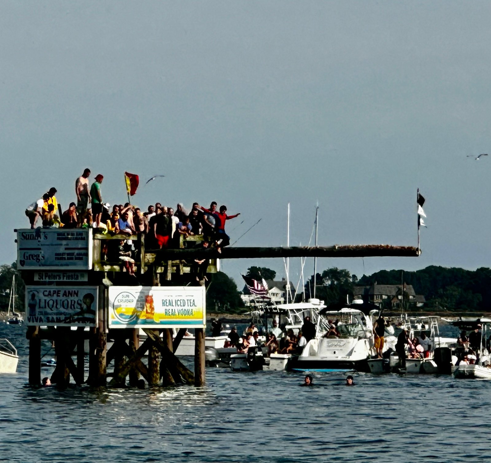 The Greasy Pole in Gloucester Harbor