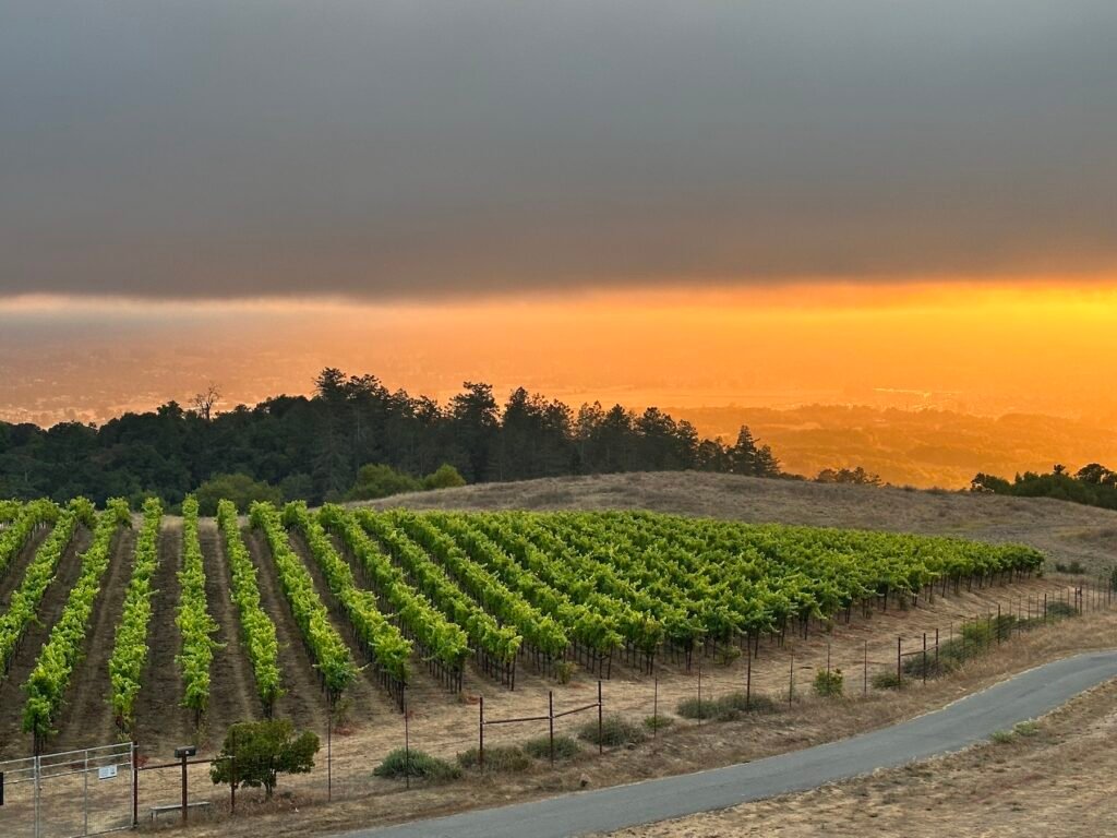 Panther Ridger Winery at sunset